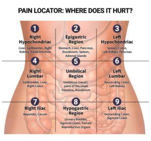 pain-locator-where-does-it-hurt